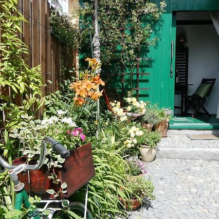 Apartman Horšovský Týn Exteriör bild